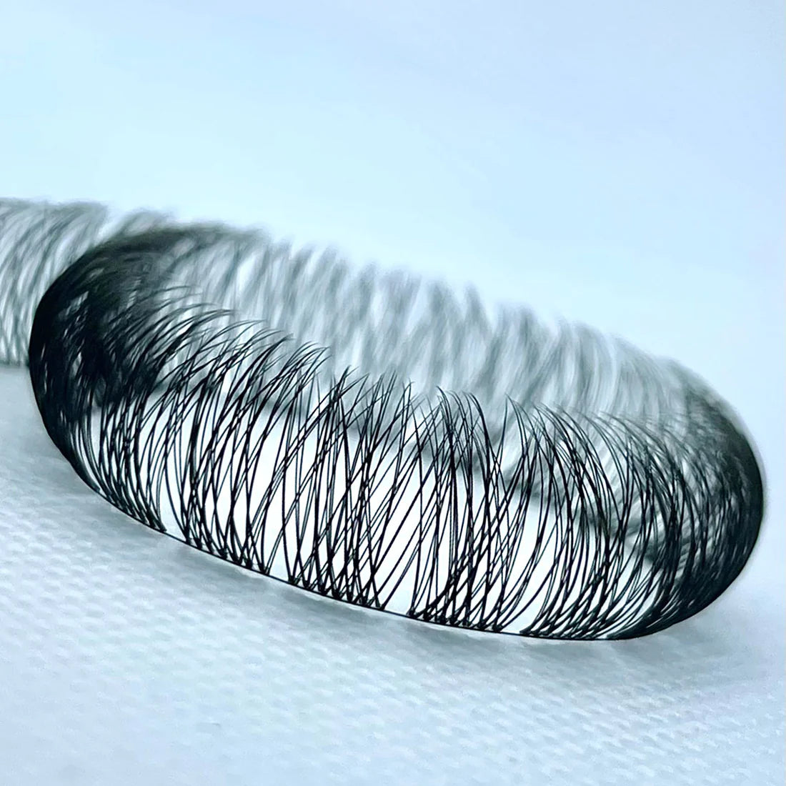 lashxtend diy lashes