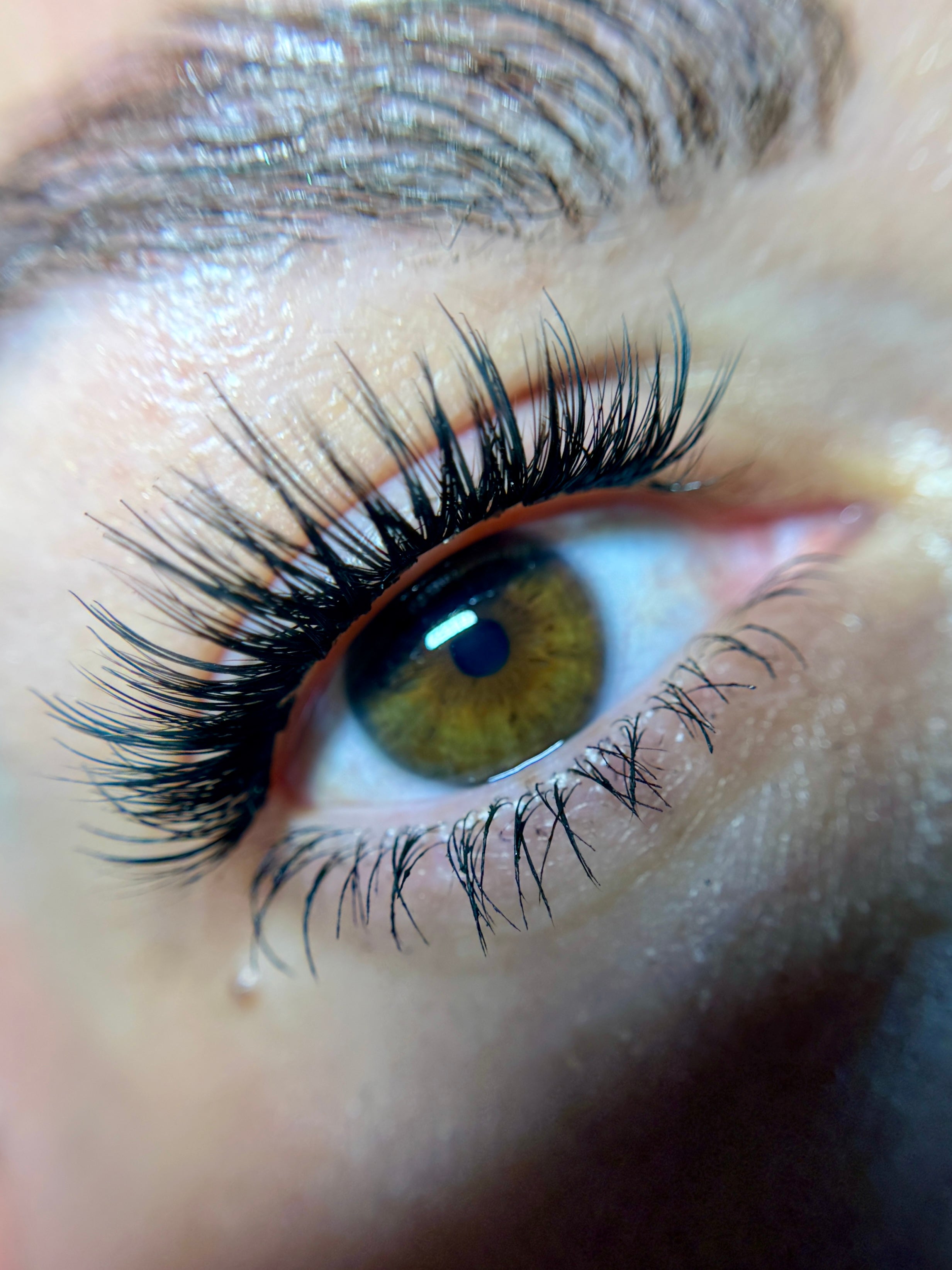 Budget Xtend by LashXtend