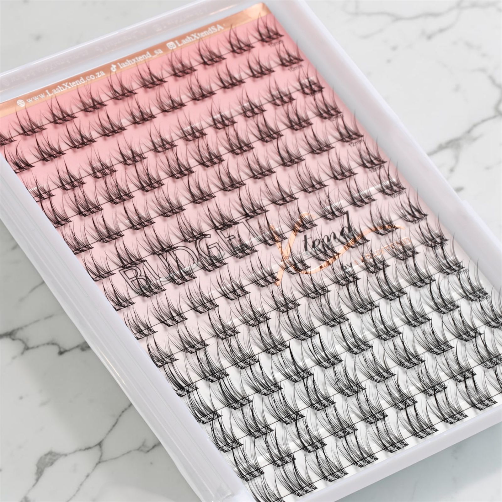 Budget Xtend - Pre-Cut Lash Trays