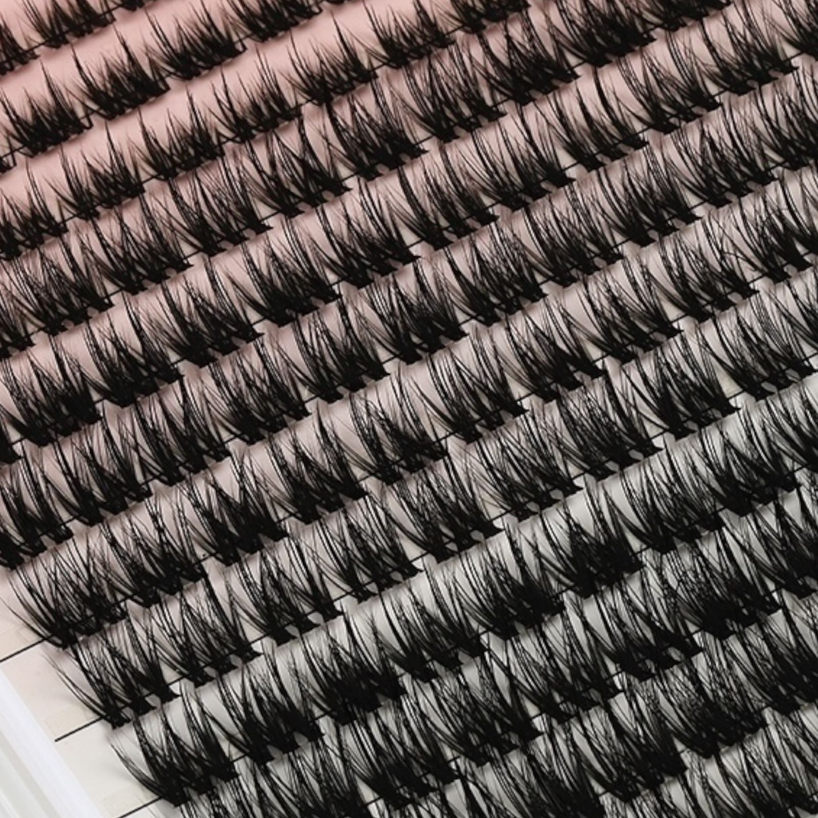 Budget Xtend by LashXtend