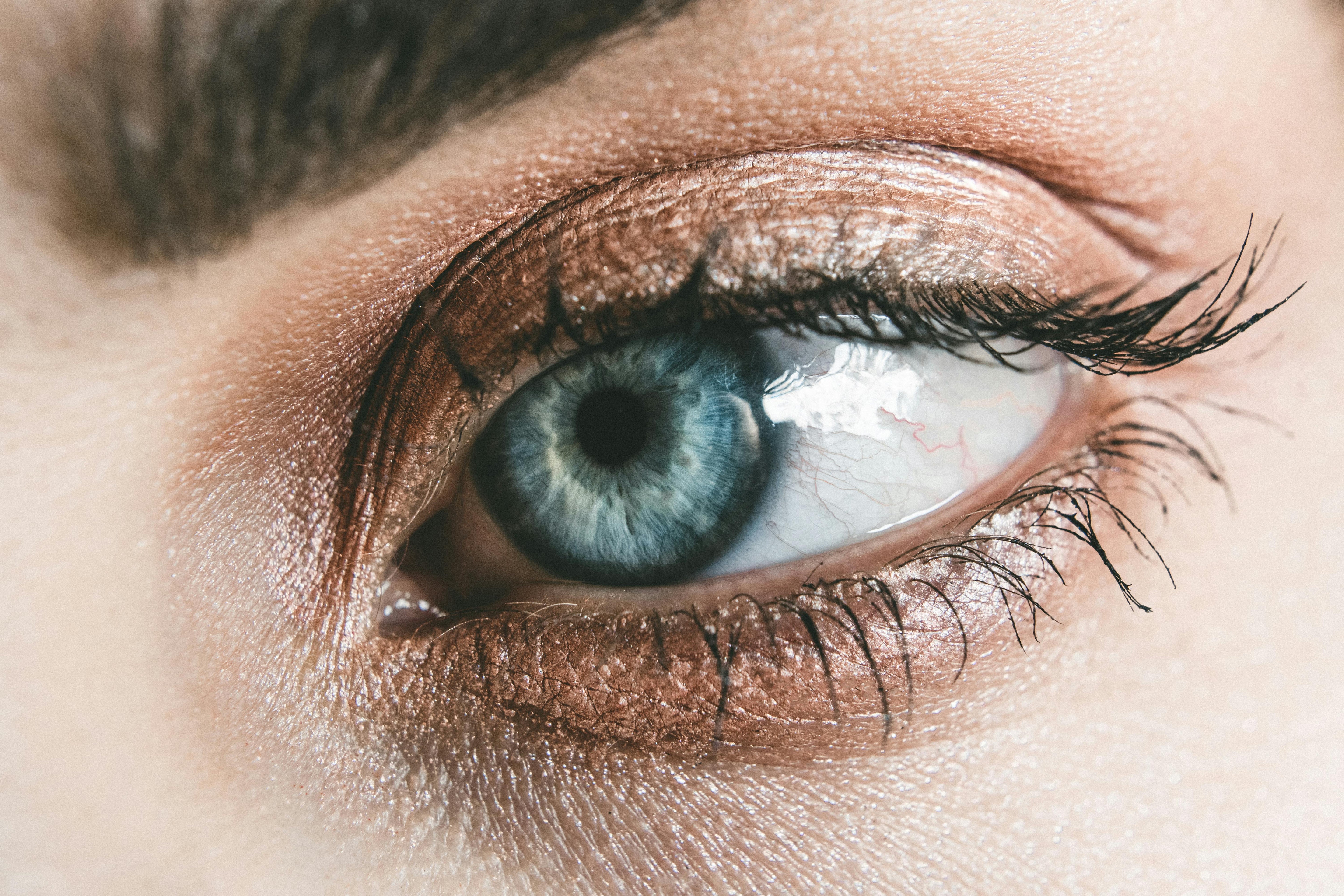 false lashes close up