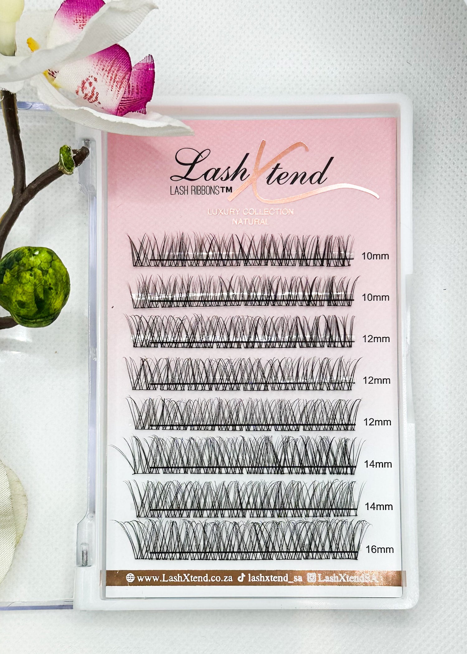 Luxury Collection Natural Pre Cut Lash Segment Kit