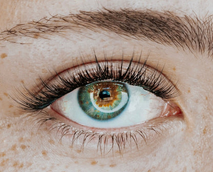 Pre-Glued Press On Lashes (Damaged Boxes)