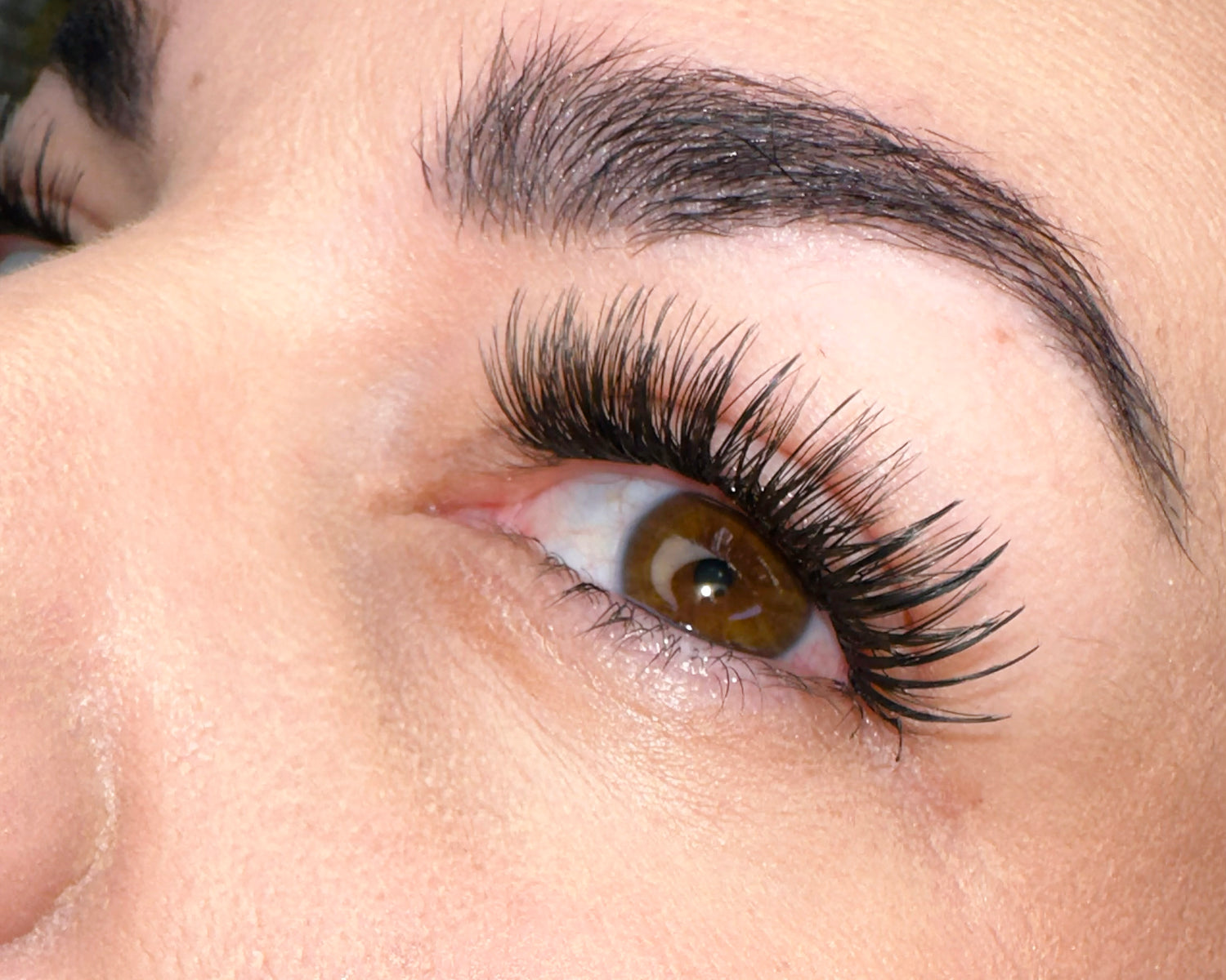 Bella LashXtend – DIY Lash Extension