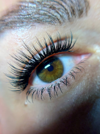 Budget Xtend by LashXtend