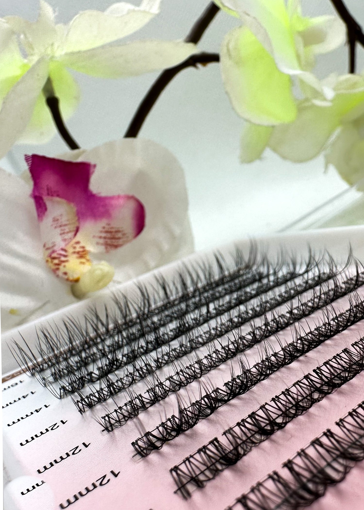 Luxury Collection Natural Pre Cut Lash Segment Kit