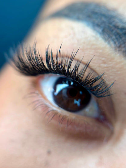 Budget Xtend by LashXtend