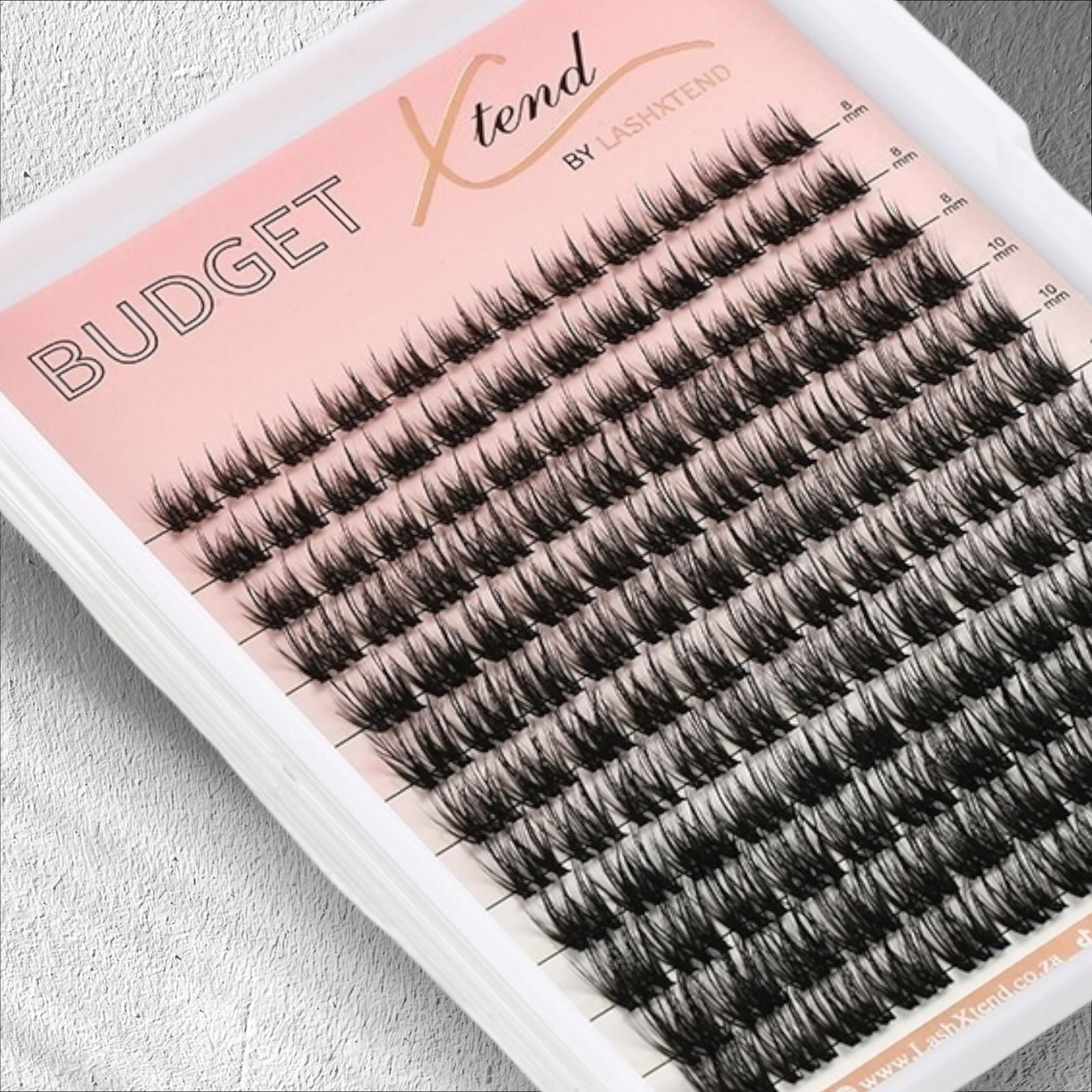 Budget Xtend by LashXtend