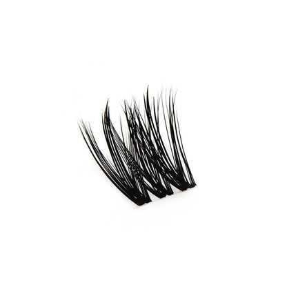 Budget Xtend by LashXtend