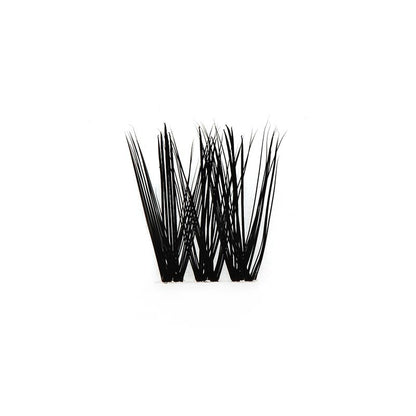 Budget Xtend by LashXtend