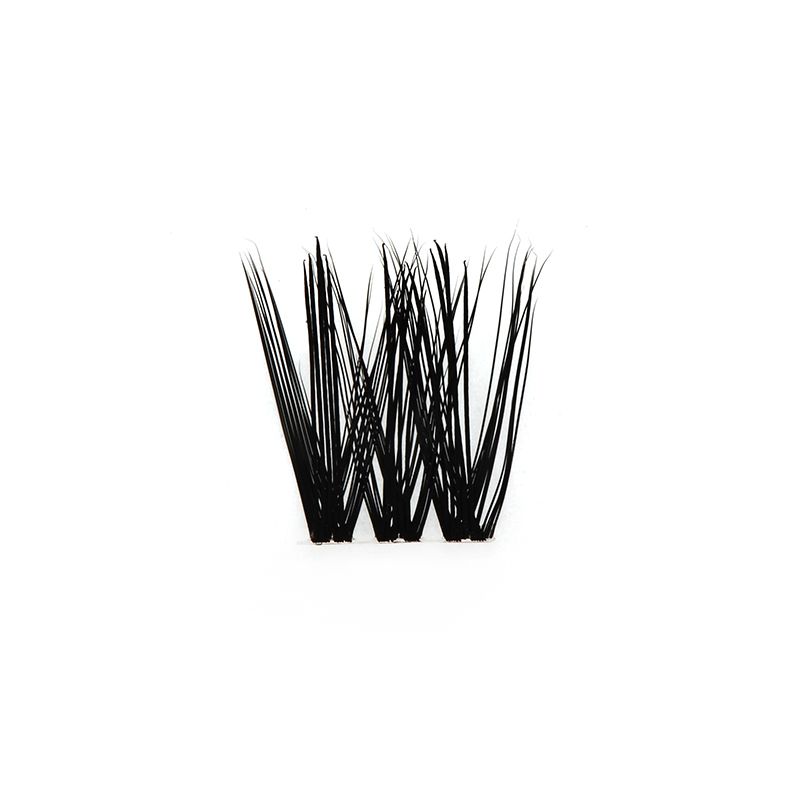 Budget Xtend by LashXtend