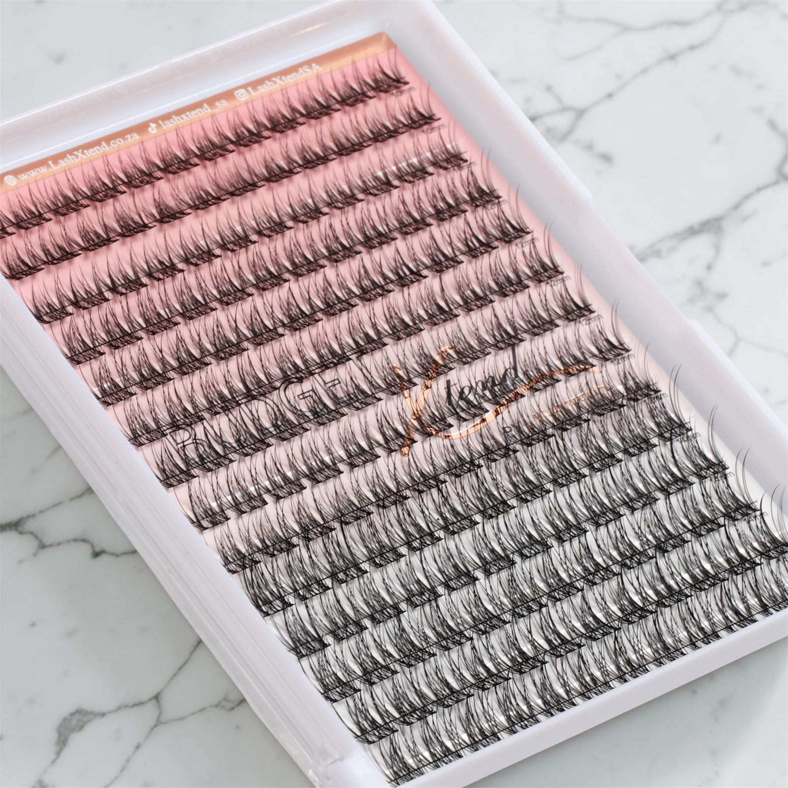 Budget Xtend by LashXtend-Budget Angel