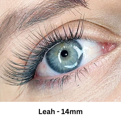 Princess - Lash Extension Kit - LashXtend