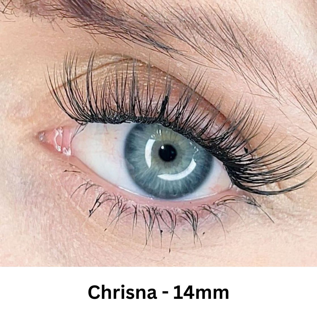 Chrisna LashXtend – DIY Lash Extension - LashXtend