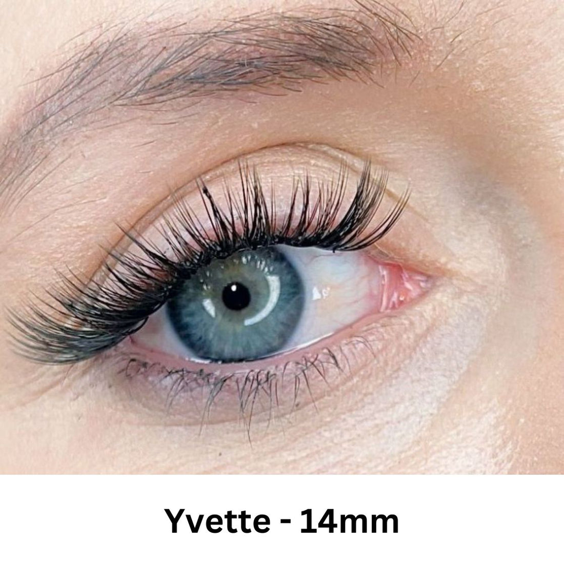 Yvette LashXtend – DIY Lash Extension - LashXtend