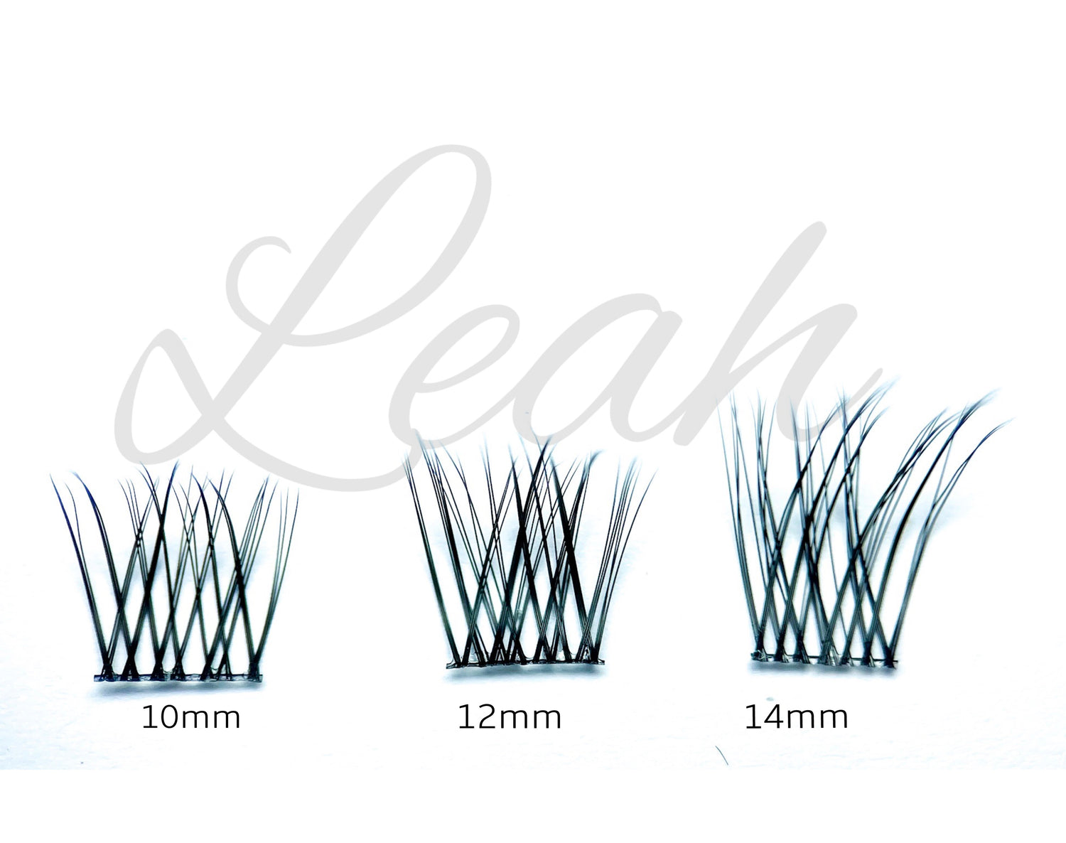 Leah LashXtend – DIY Lash Extension - LashXtend