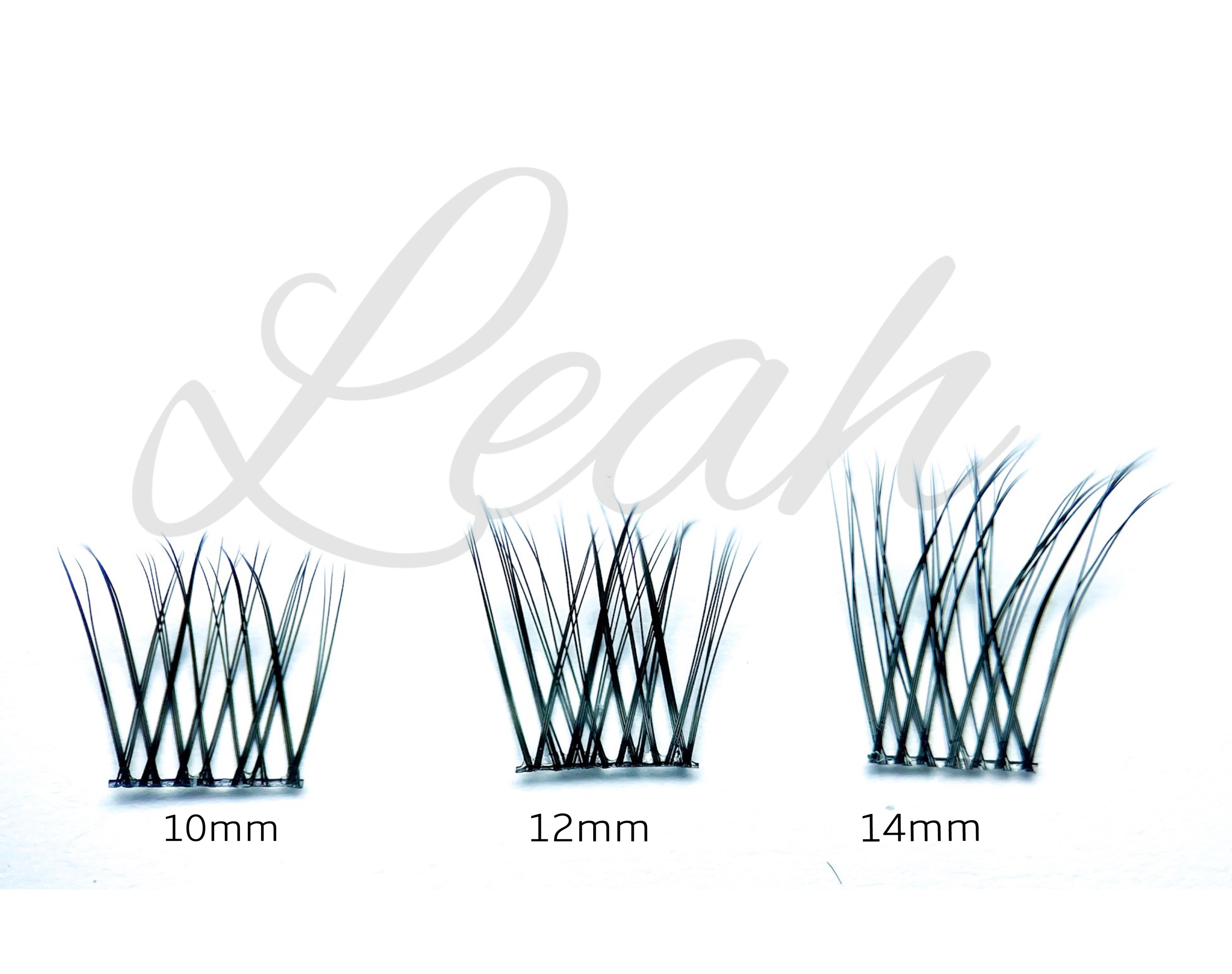 Princess - Lash Extension Kit - LashXtend